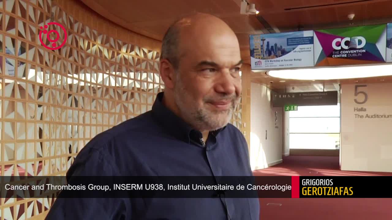 An Interview With Grigorios Gerotziafas Icthic Magazine an-interview-with-grigorios-gerotziafas-icthic-magazine