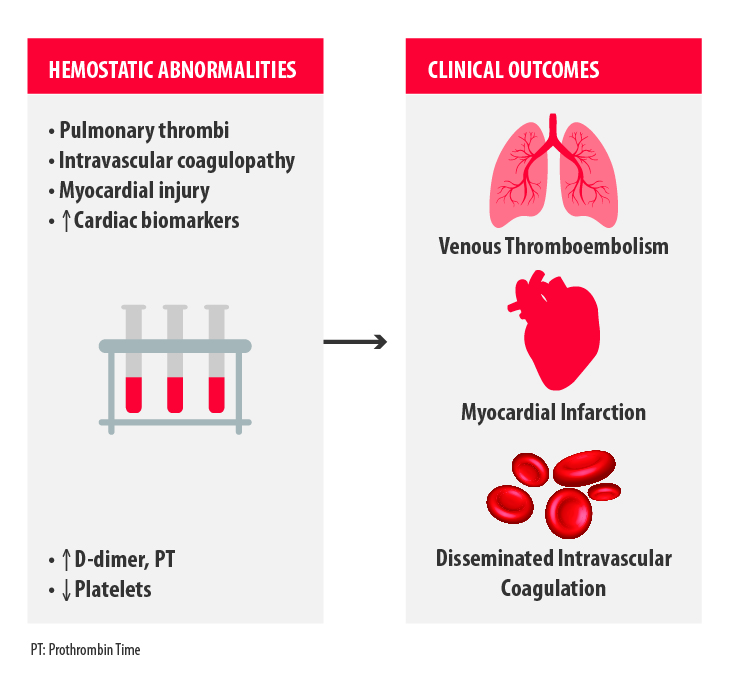 Coagulopathy and thrombosis in COVID-19 patients: parameters to be ...